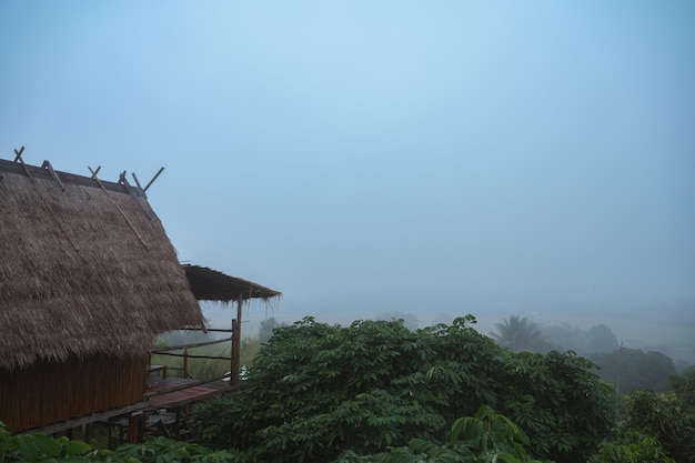 Cabaña en la colina en la selva tropical en un día de niebla en el campo