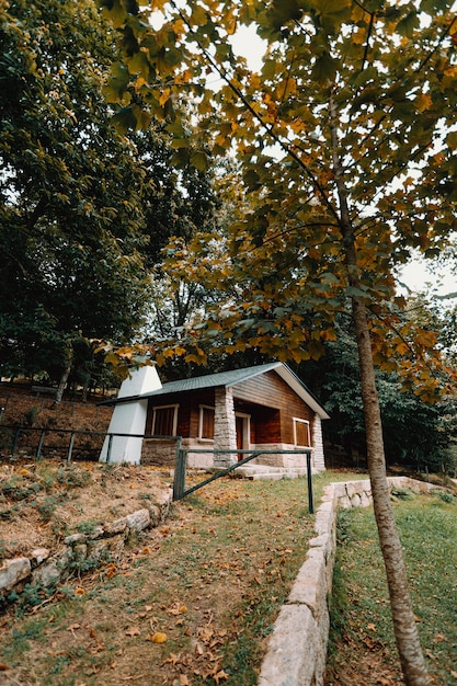 Foto cabana de casa rural de madeira na floresta