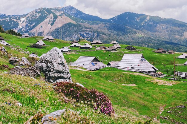 Cabana de montanha, casa na colina verde. Paisagem alpina do prado. Agricultura ecológica. paisagem da Eslovênia