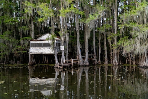 Foto la cabaña espeluznante en el lago caddo, texas.