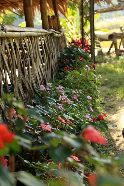 Foto cabaña de flores del jardín