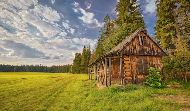 Cabaña de madera desechada