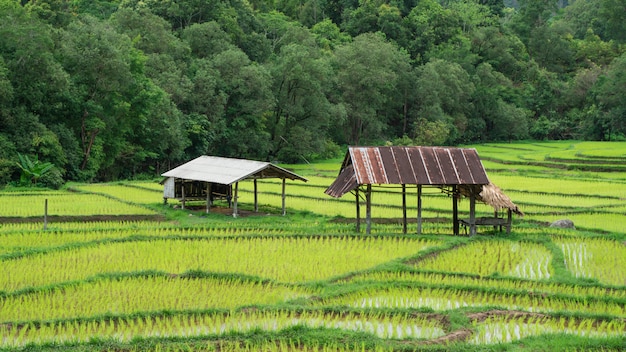 Cabaña de madera con paisajes de montaña