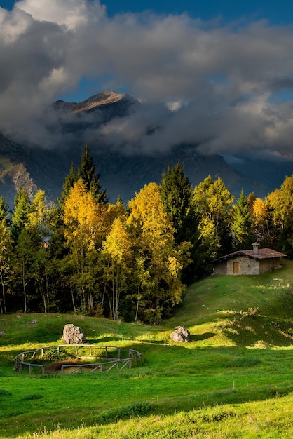 Cabaña en medio de la naturaleza