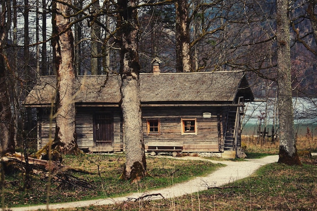 Cabana na floresta