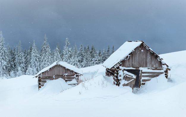 Cabana nas montanhas no inverno. Nevoeiro misterioso. Em antecipação de feriados. Cárpatos. Ucrânia, Europa