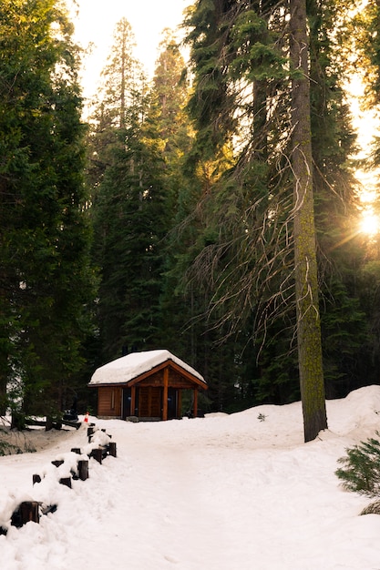 Cabana no meio do Parque Nacional Sequoia, Califórnia