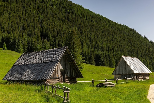 Cabana no vale de Chocholowka, nas montanhas do Parque Nacional de tatra, na Polônia, perto de Zakopane