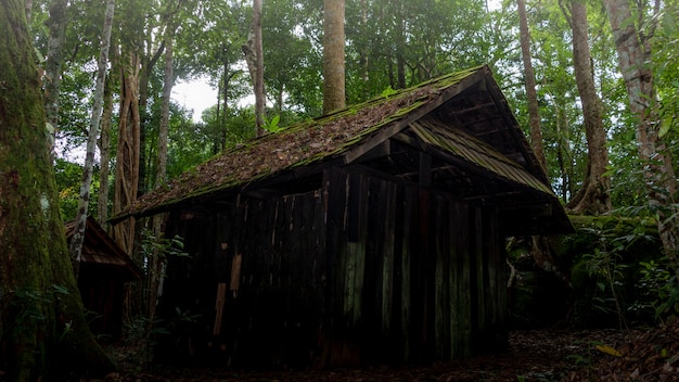 Cabaña oscura y atemorizante en el bosque