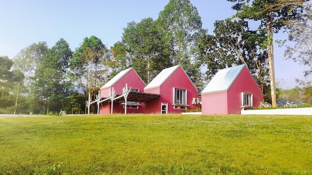 Cabaña rosada en campo de césped verde, casa moderna en campo verde y fondo de árbol natural