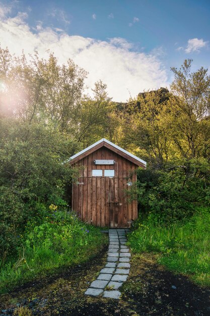 Cabaña rústica de madera en un bosque profundo al atardecer