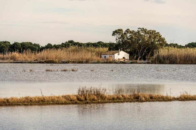 Cabaña tradicional con techo de paja en Albufera Valencia