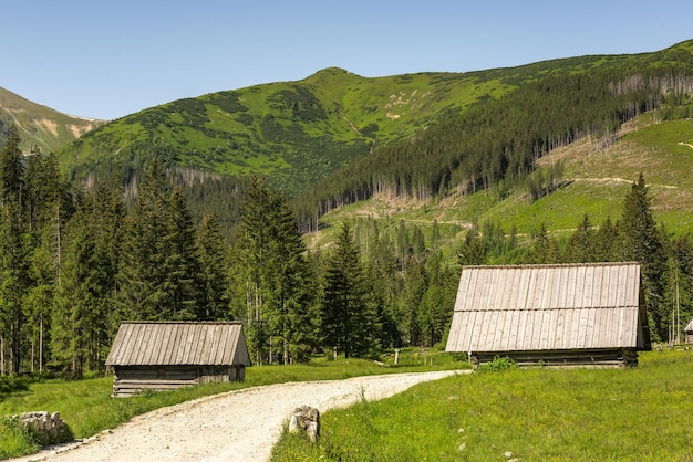 Cabaña en el valle de Chocholowka en las montañas del Parque Nacional Tatra en Polonia cerca de Zakopane