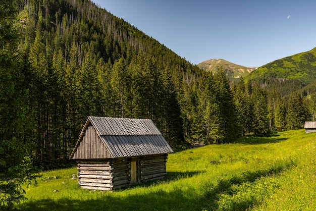 Cabaña en el valle de Chocholowka en las montañas del Parque Nacional Tatra en Polonia cerca de Zakopane