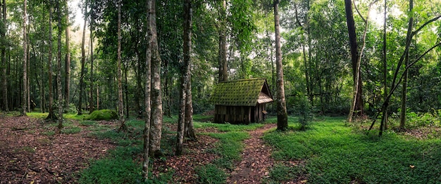 Cabana verde na floresta