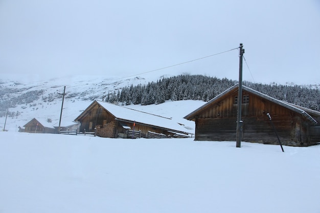 Cabañas en los Alpes suizos de la región de Jungfrau