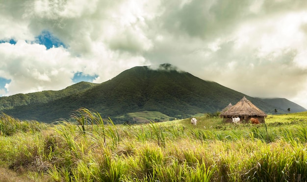 Cabañas de ganado y volcán en ubicación tropical