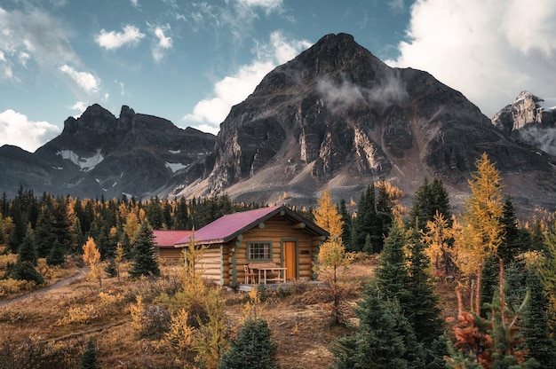 Foto cabañas de madera con montañas rocosas en el bosque de otoño en el parque provincial assiniboine, canadá