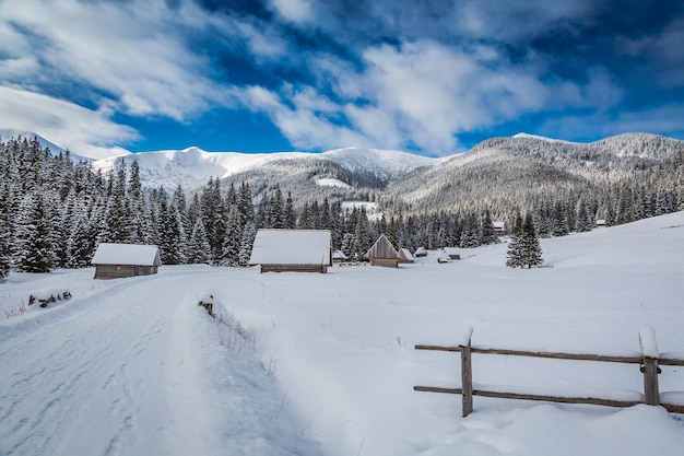 Cabañas de madera en el valle Chocholowska al amanecer en invierno montañas Tatra Polonia