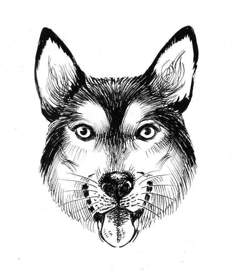 Foto cabeça de cachorro rouco. desenho de tinta preto e branco