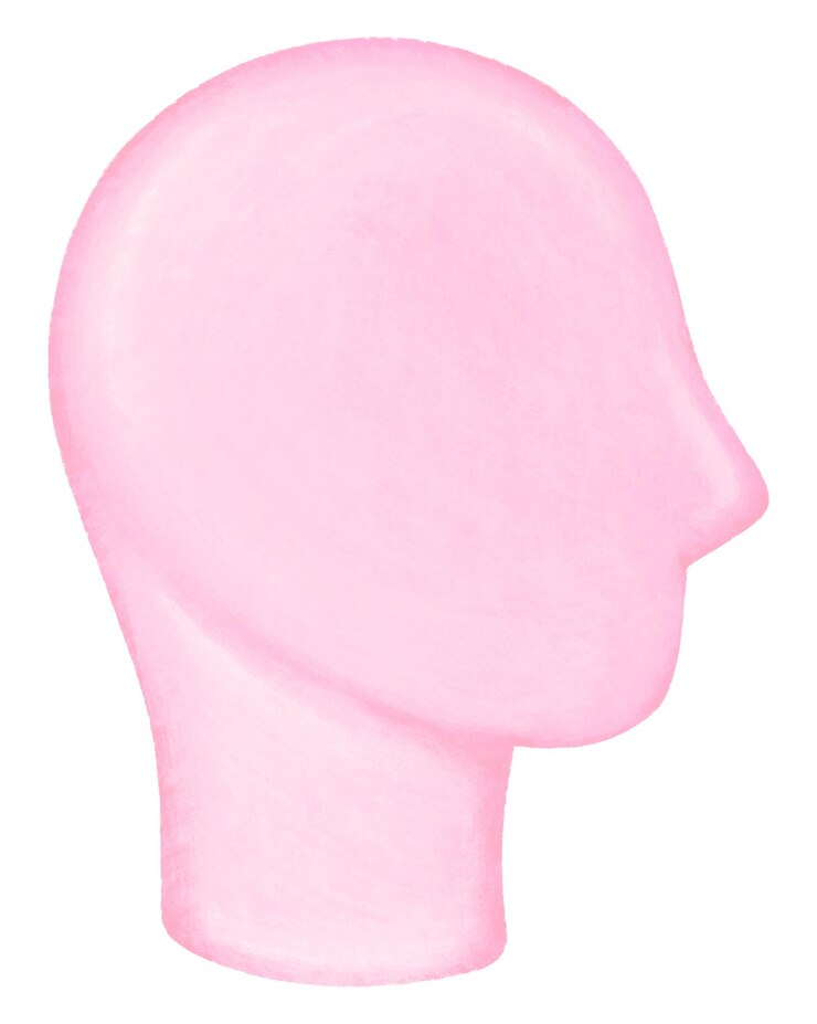 Foto cabeça de manequim rosa png fundo transparente
