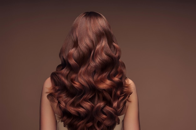 Cabeça de mulher com cabelo em coque de casamento em fundo cinza isolado vista traseira de cabelo castanho