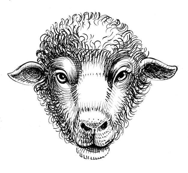 Cabeça de ovelha. Desenho de tinta preto e branco