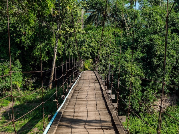 Cabeça de ponte de madeira pendurada para a floresta tropical