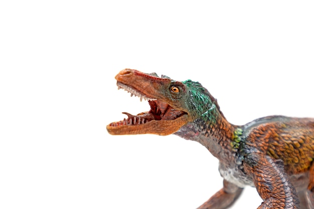 Cabeça de velociraptor com boca aberta