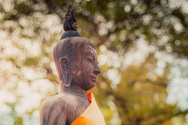 Cabeça do Senhor Buda em perfil em um desfoque bokeh fundo abstrato religião navio de guerra