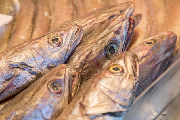 Cabeças de peixe pescada na banca do mercado