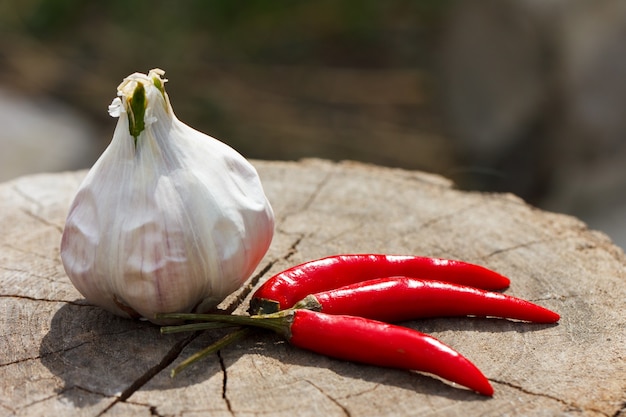 Una cabeza de ajo y pimiento rojo picante sobre un tocón de madera agrietada closeup fondo en un día soleado de verano