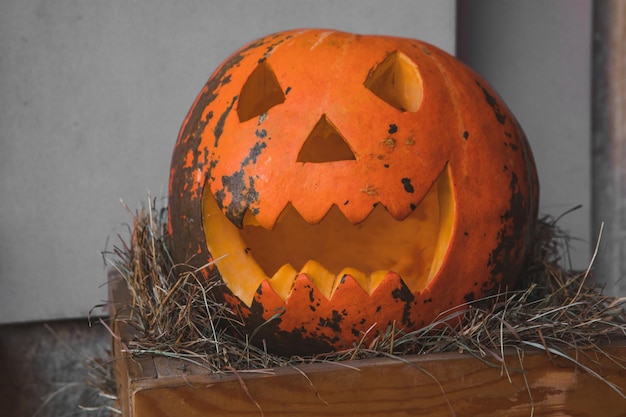 Cabeza de calabaza espeluznante