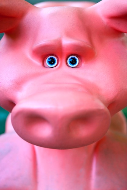 Foto cabeza de cerdo de plastico