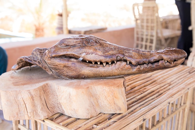 Una cabeza de cocodrilo sobre una mesa con bambú en el fondo