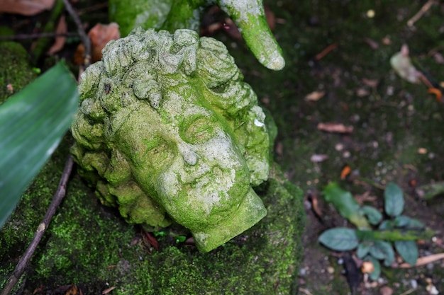 La cabeza de la estatua de cemento en el jardín