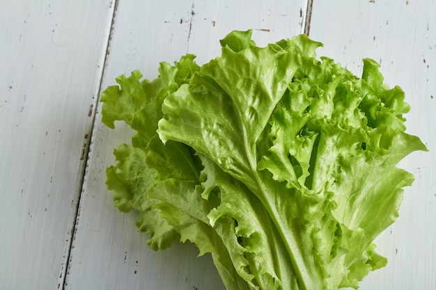 Una cabeza de lechuga en el espacio de copia de fondo blanco