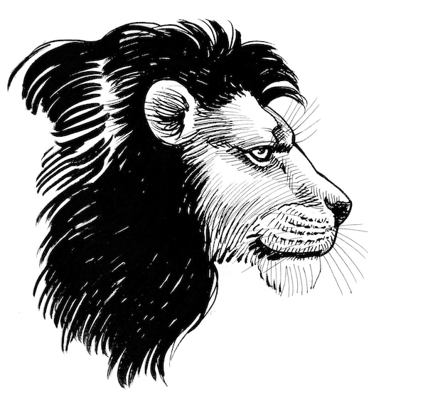 Cabeza de león. Dibujo a tinta en blanco y negro