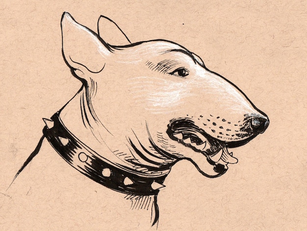 Cabeza de perro. Dibujo a tinta y tiza