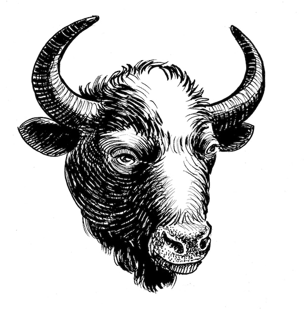 Cabeza de toro de bisonte dibujo en blanco y negro