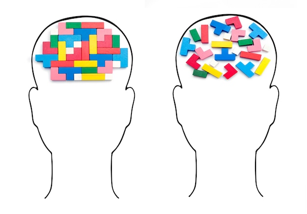 Cabezas con cerebro humano. Inteligencia racional e irracional de cubos.