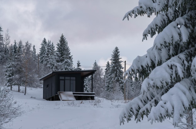 Cabina moderna de color negro escondida en un pinar nevado.