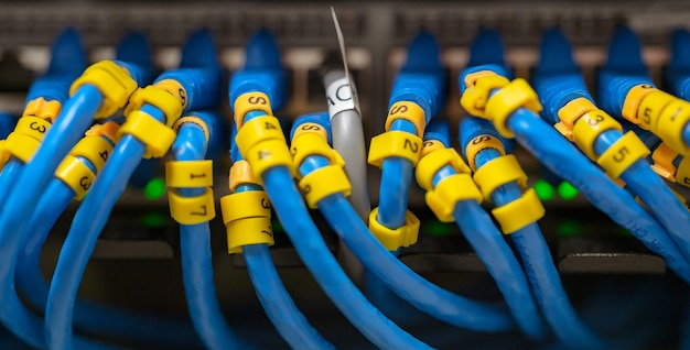 cable LAN azul en conmutadores de red