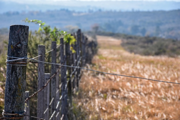 Foto el cableado