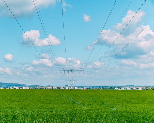 Cables de alto voltaje sobre un campo con plantas agrícolas