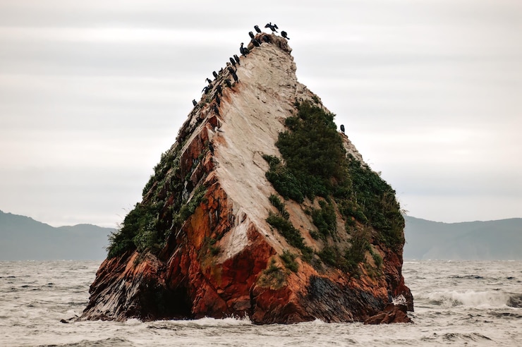 Foto cabo com aves de cormorão no mar do japão de primorsky krai