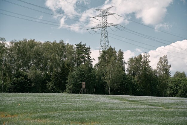 Cabo elétrico de torre de alta tensão fica no campo Transmissão de energia elétrica Industrialização das áreas rurais