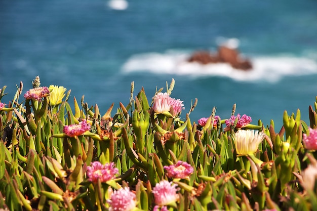 Cabo Roca no Oceano Atlântico, Portugal