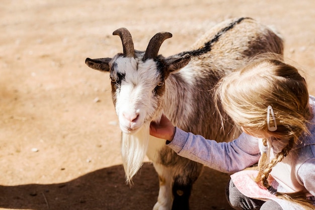 Cabra com criança menina no zoológico de contato. Garota de criança abraçando ou acariciando a cabra amigável.