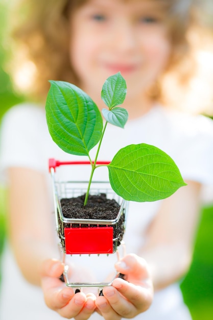 Cabrito que sostiene la planta joven en el carro de compras contra el fondo verde de la primavera Concepto de ecología